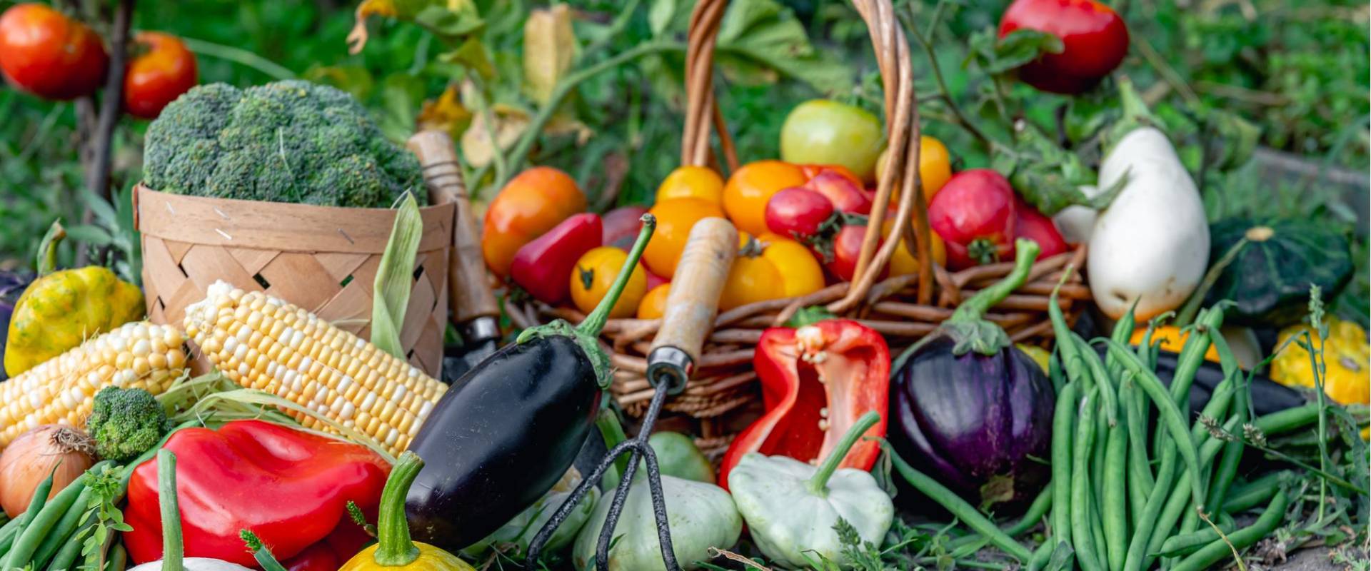 Fresh produce from