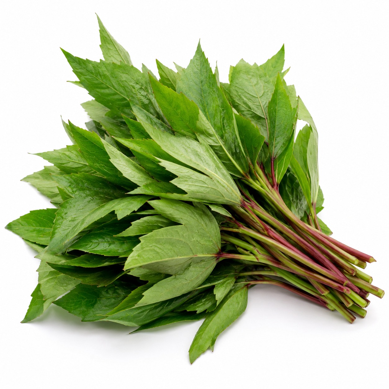 Gongura Leaves