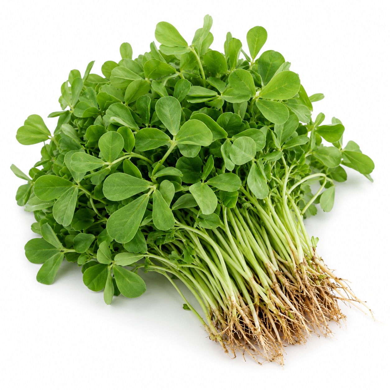 Meethi Leaves